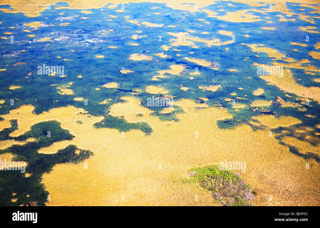 Aerial view of marsh Stock Photo