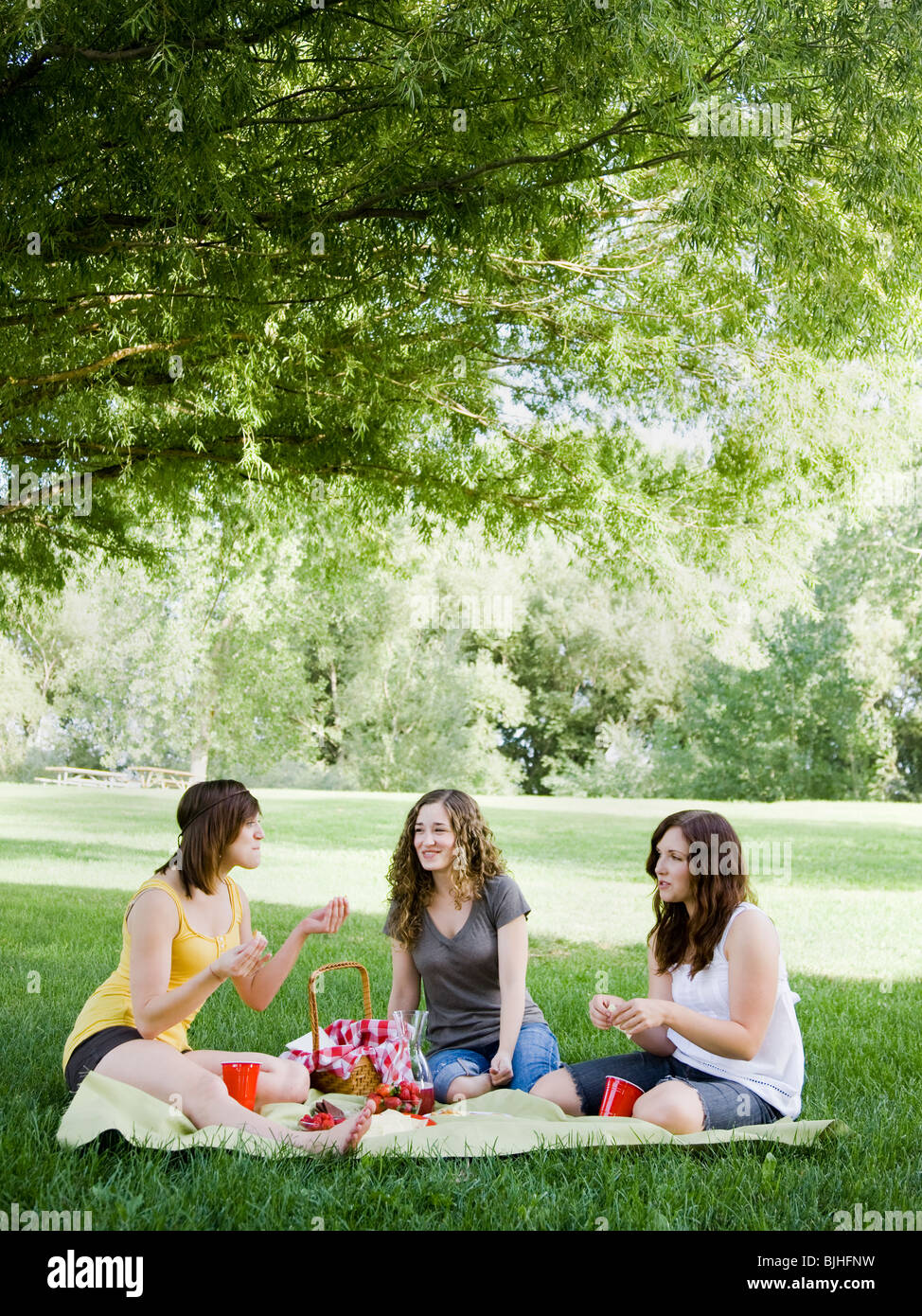 three young women having a picnic on the grass in a park Stock Photo
