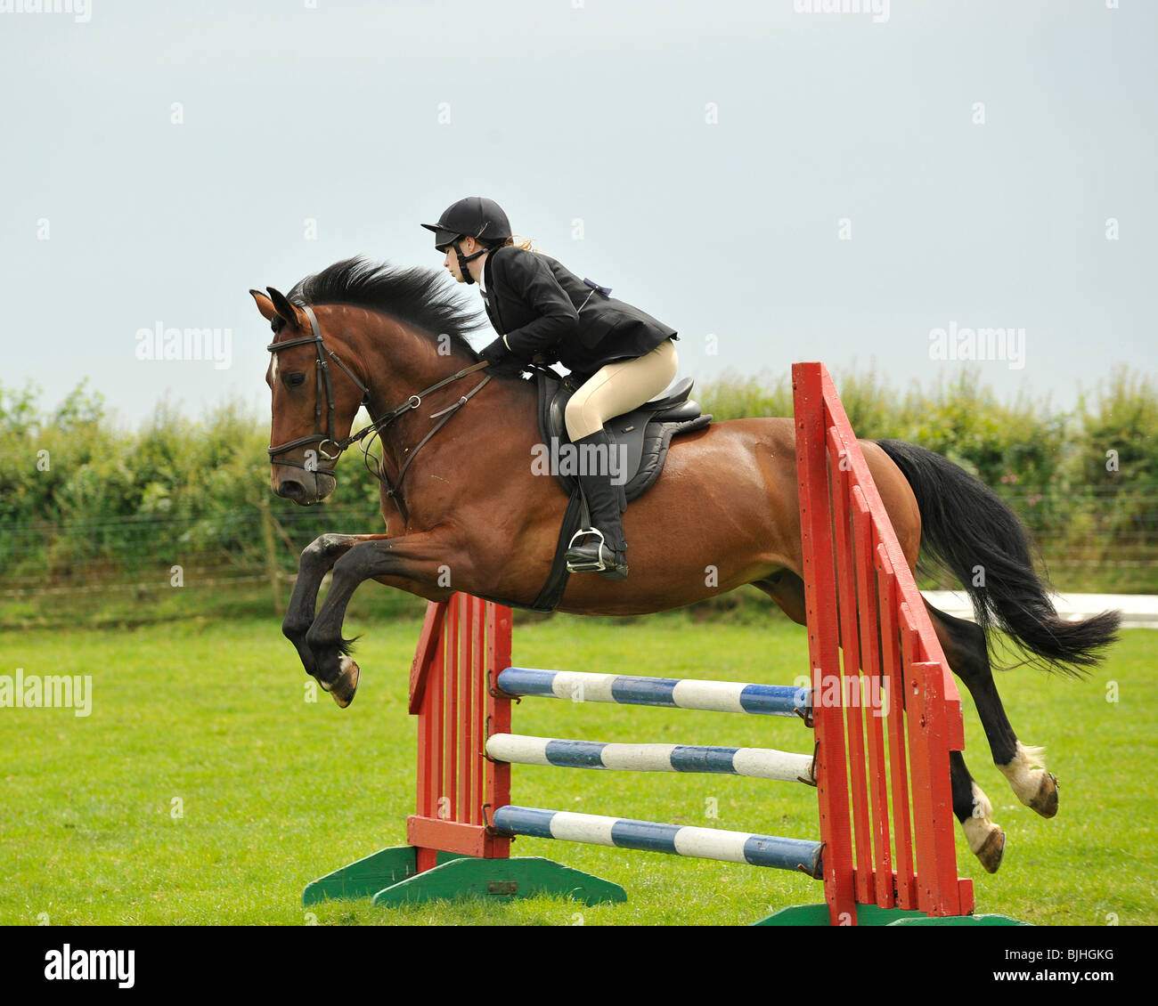 show jumping horse Stock Photo