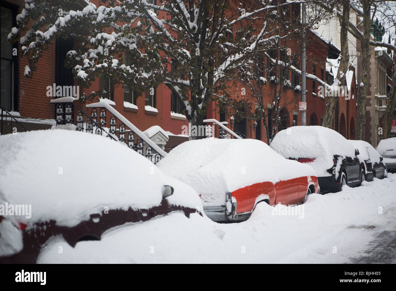 Cars covered in snow Stock Photo