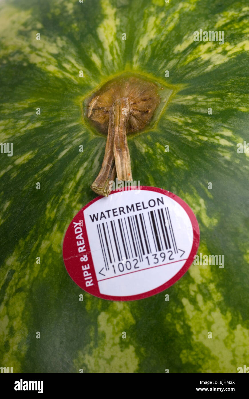 Healthy Water Melon with a Bar Code Sticker Stock Photo