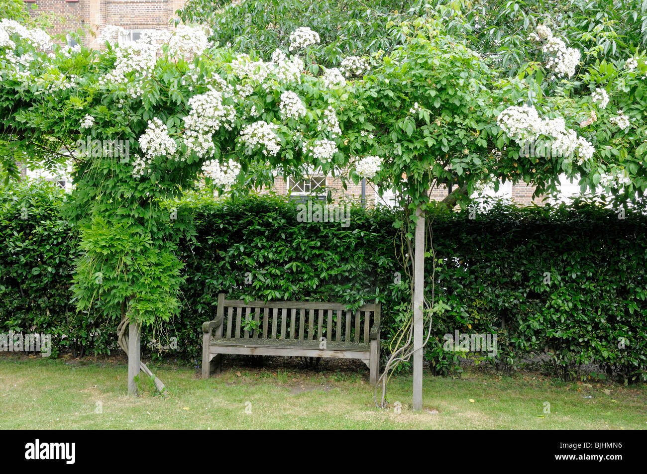 Bench Paultons Square Chelsea London England UK Stock Photo Alamy