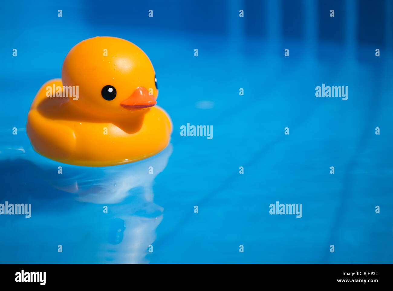 Yellow rubber duck floating on blue water with blurred background Stock ...