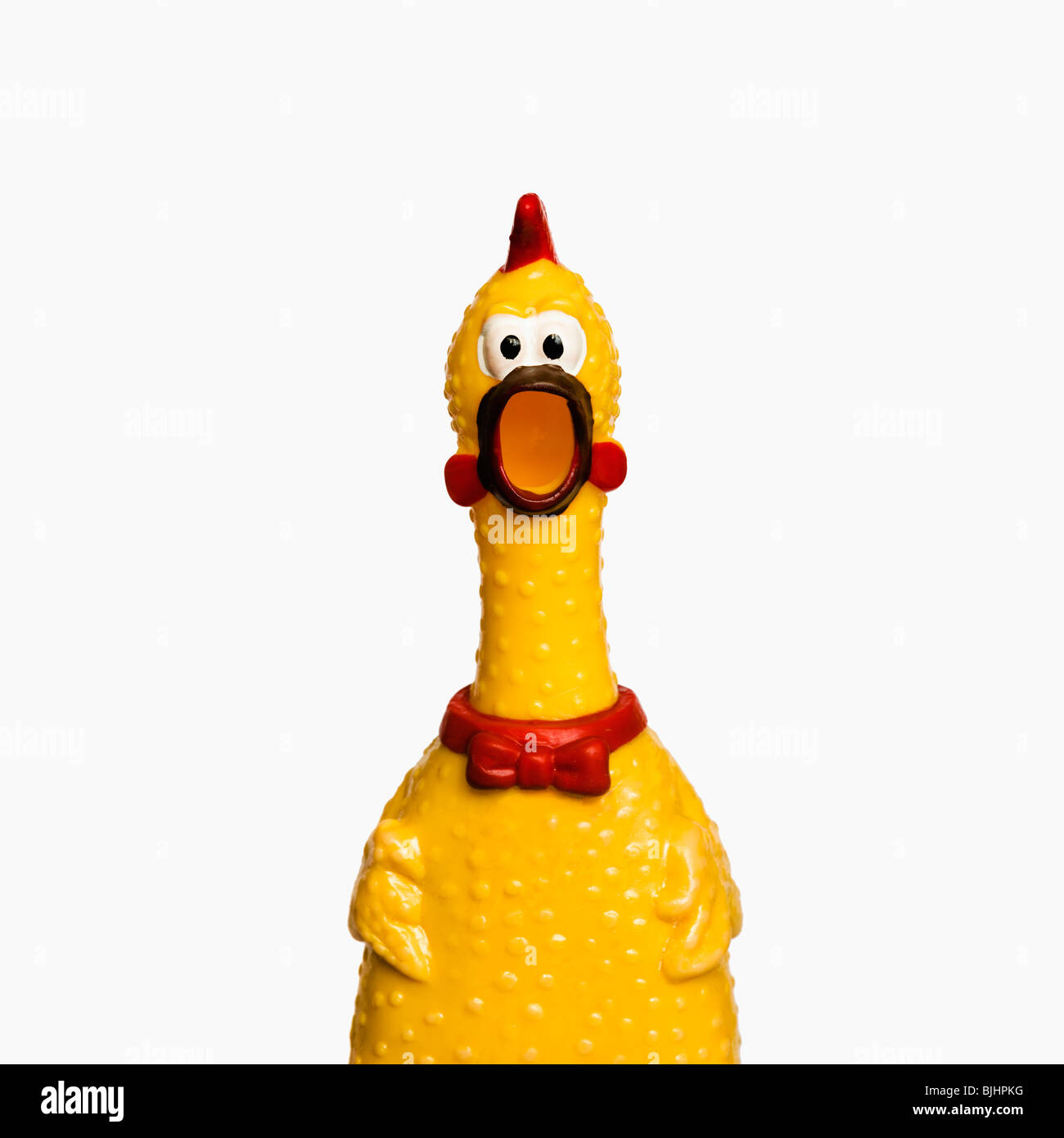 Rubber chicken Stock Photo