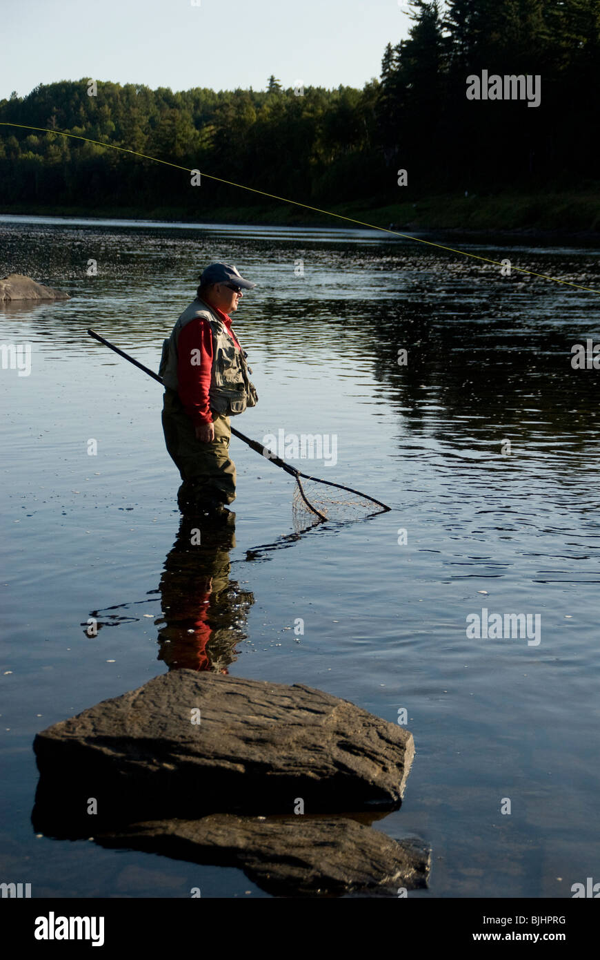 Miramichi River fishing guide Rodney Colford ready to net an Atlantic salmon Stock Photo - Alamy