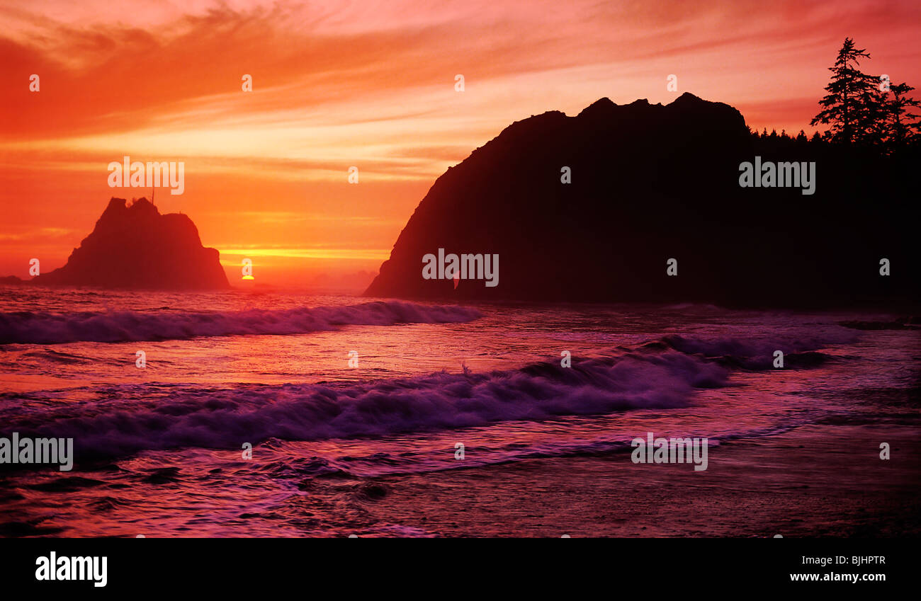 USA, WA, Olympic NP. Sea stack silhouettes in orange-red sunset light ...
