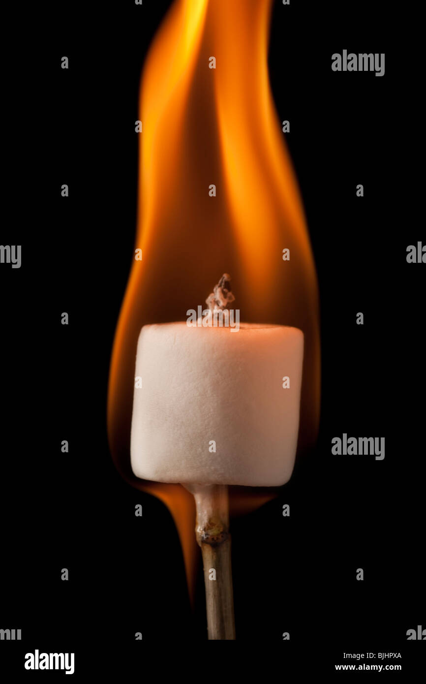 marshmallow burning on a stick Stock Photo Alamy
