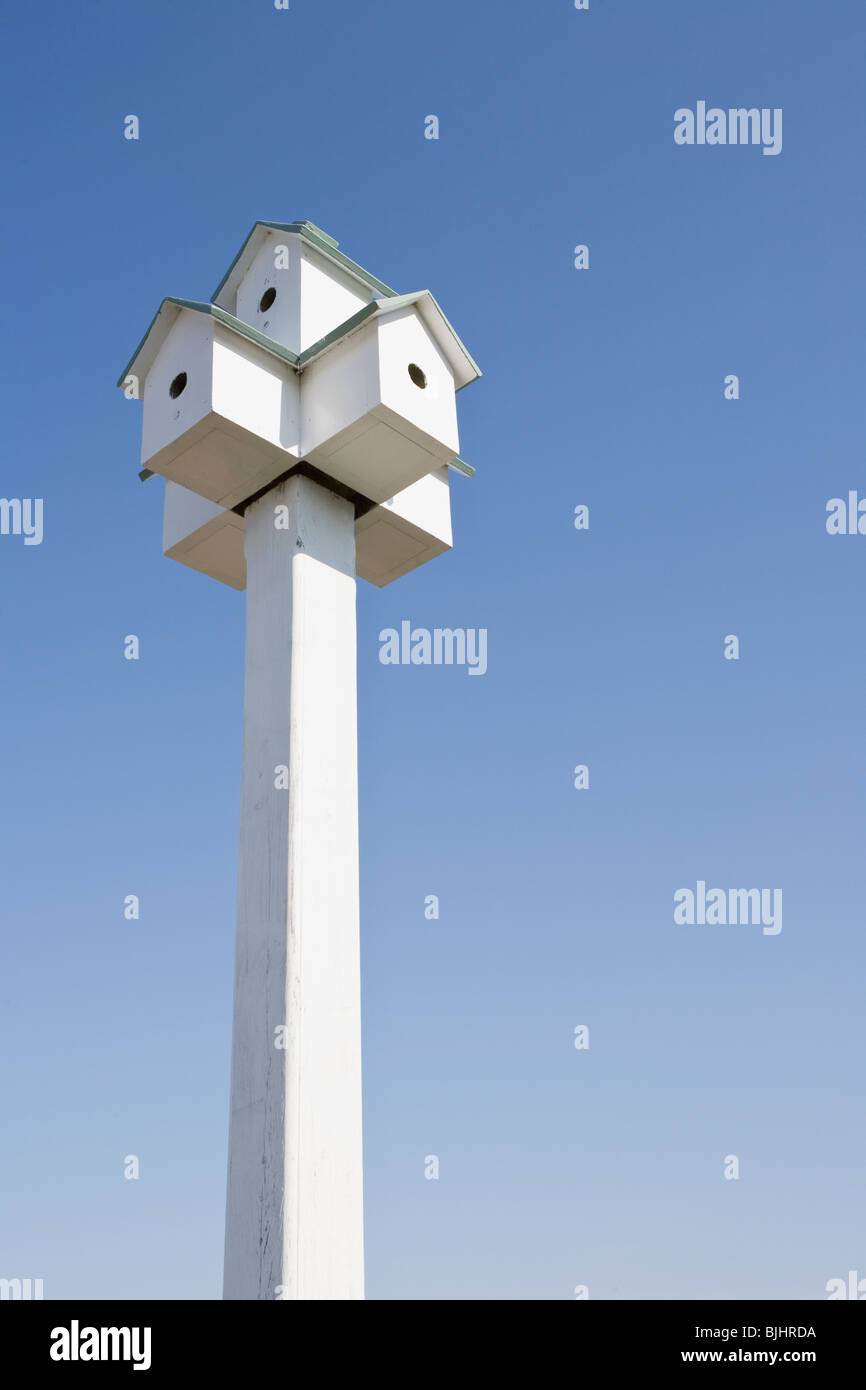 Purple martin birdhouse hi-res stock photography and images - Alamy