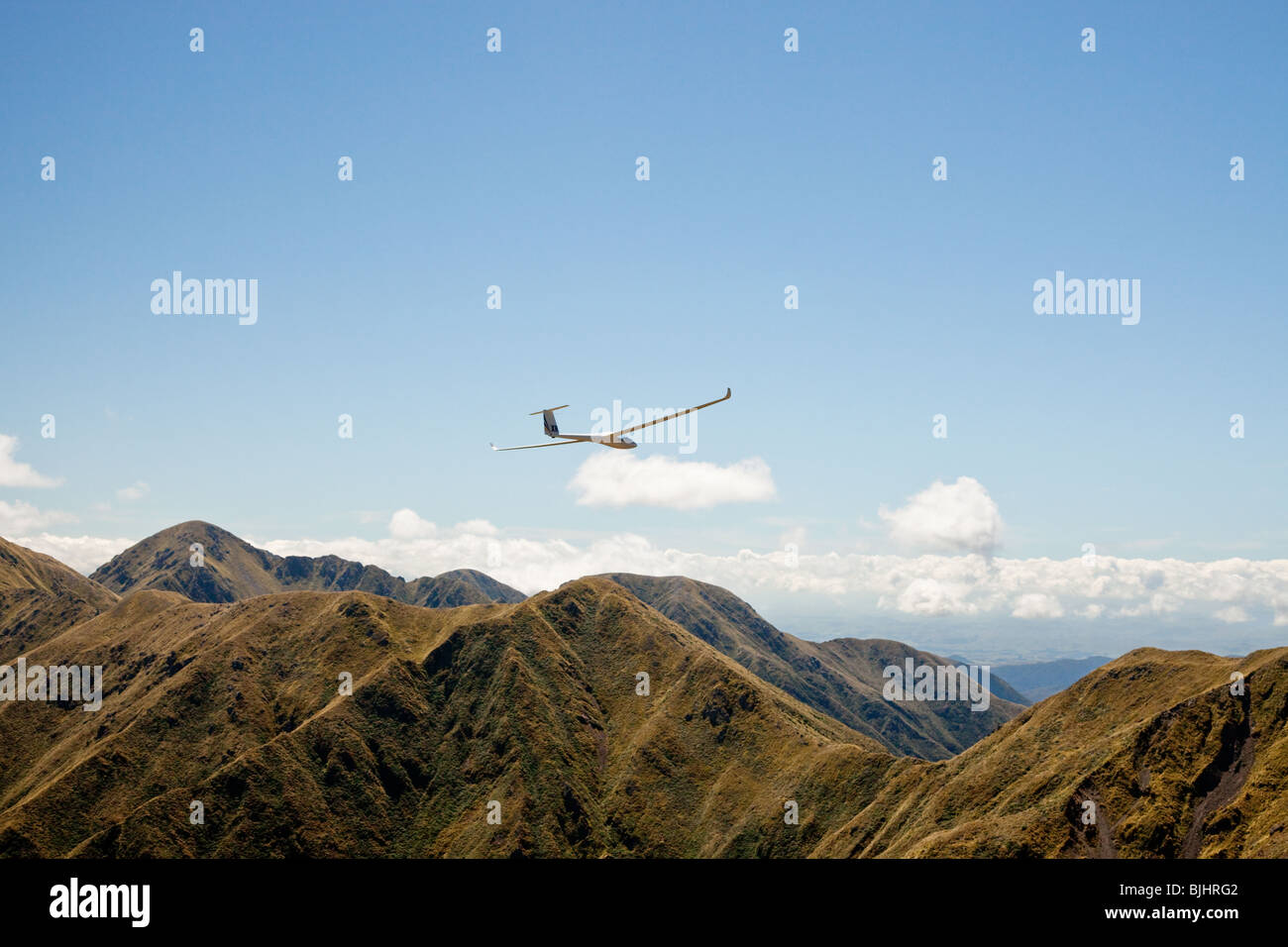 Glider High Resolution Stock Photography and Images Alamy