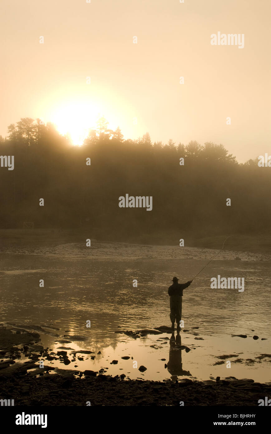 Fly fishing for Atlantic salmon, Salmo salar, Miramichi River, New Brunswick, Canada. Stock Photo