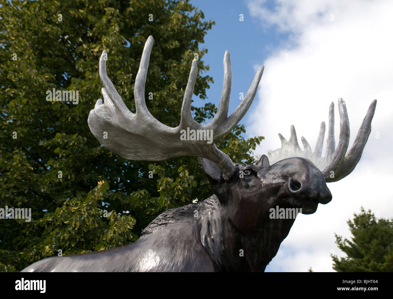 Moose statue, Doak Town, New Brunswick,Canada Stock Photo Alamy