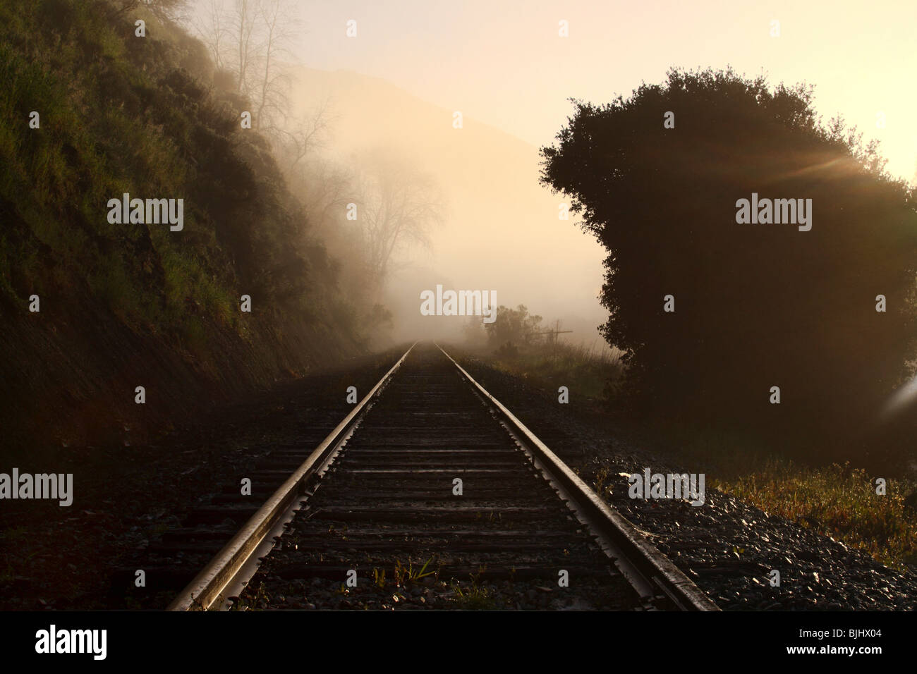 Railroad tracks in the fog near Sunol, California. Stock Photo