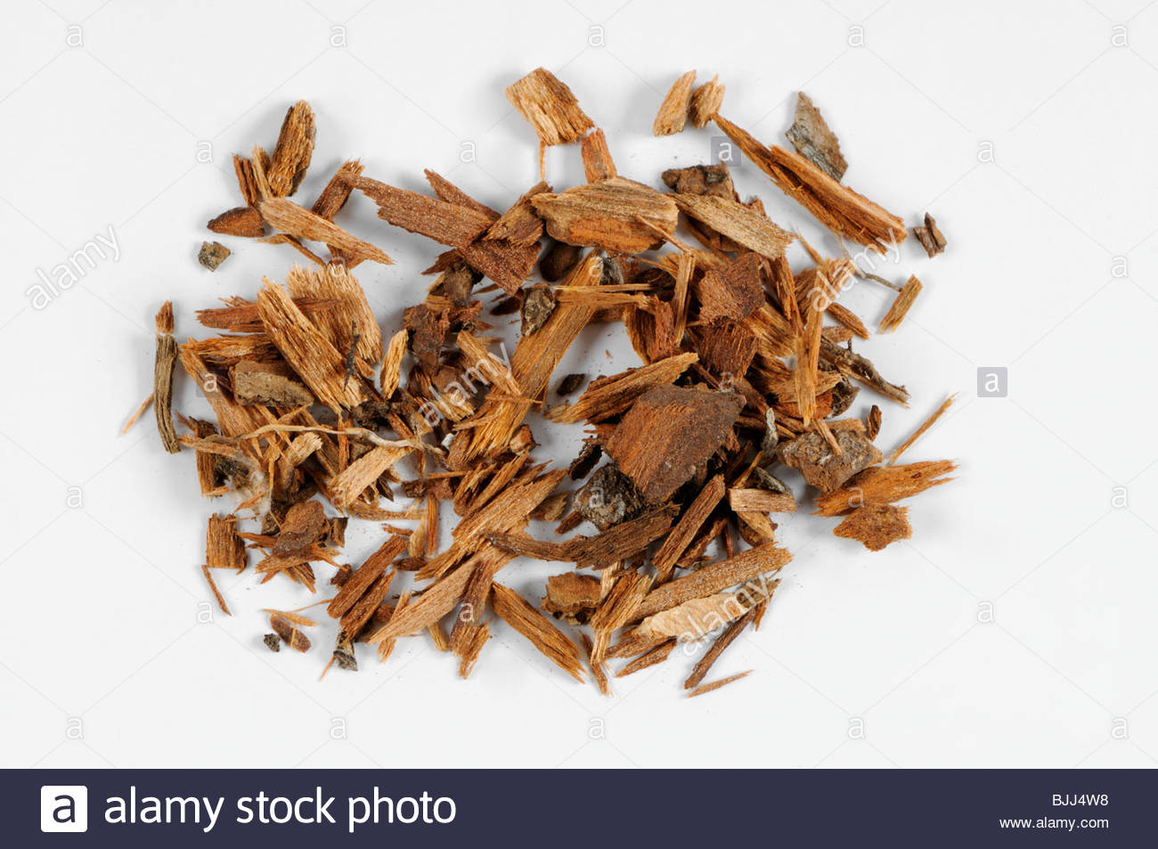 Cinchona Stock Photos & Cinchona Stock Images Alamy