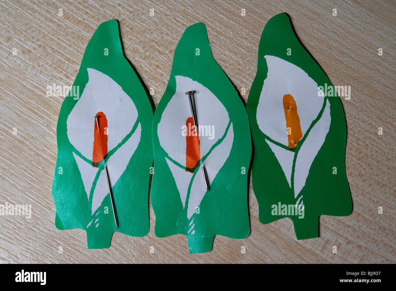 three Easter Lily pin badges The lily is worn at easter by irish republicans to commemorate their war dead Stock Photo