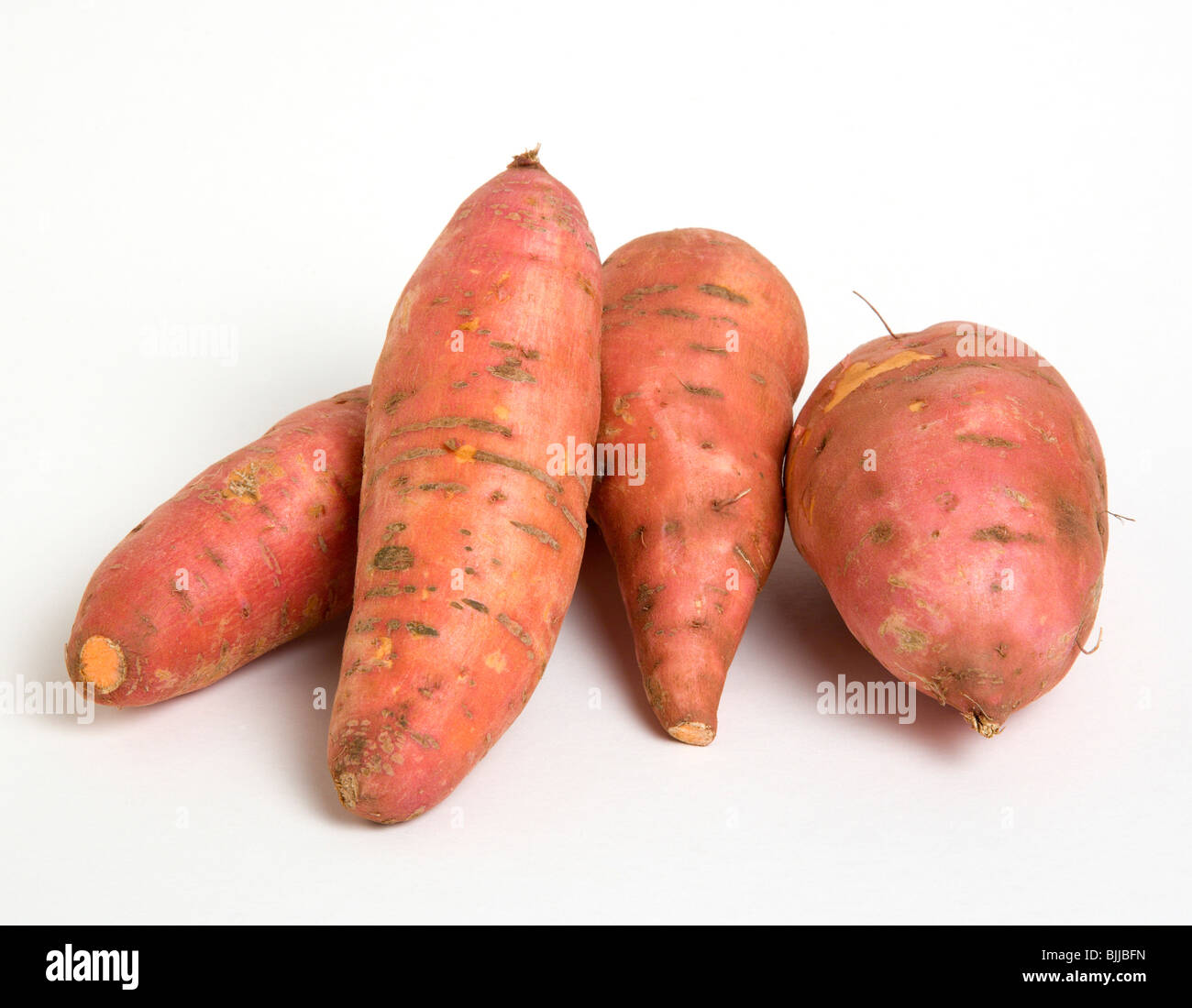 USA, Food, Root Vegetables, Group shot of North American sweet potatoes