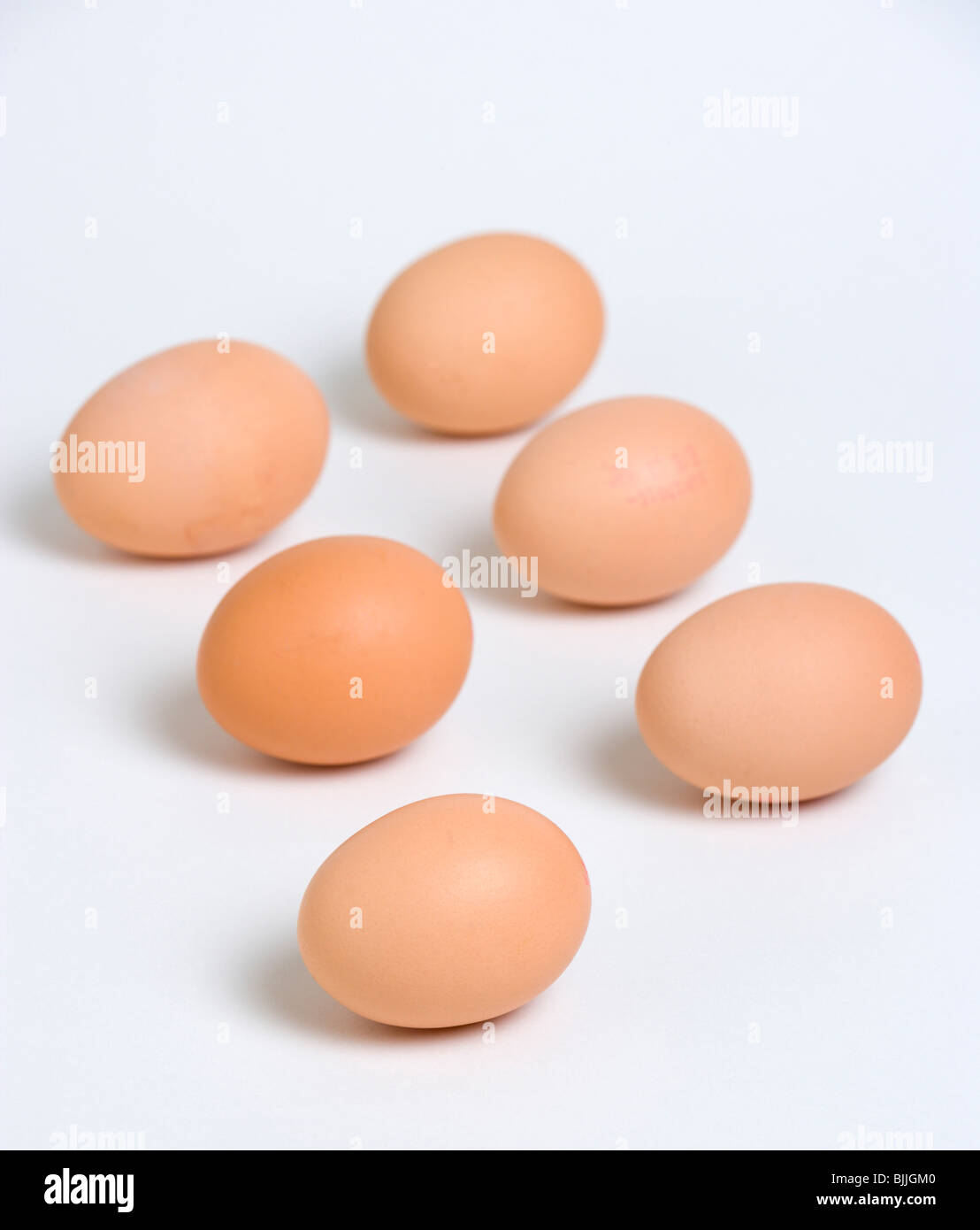 England, East Sussex, Brighton, Food, Uncooked, Eggs, Six free range eggs on a white background. Stock Photo