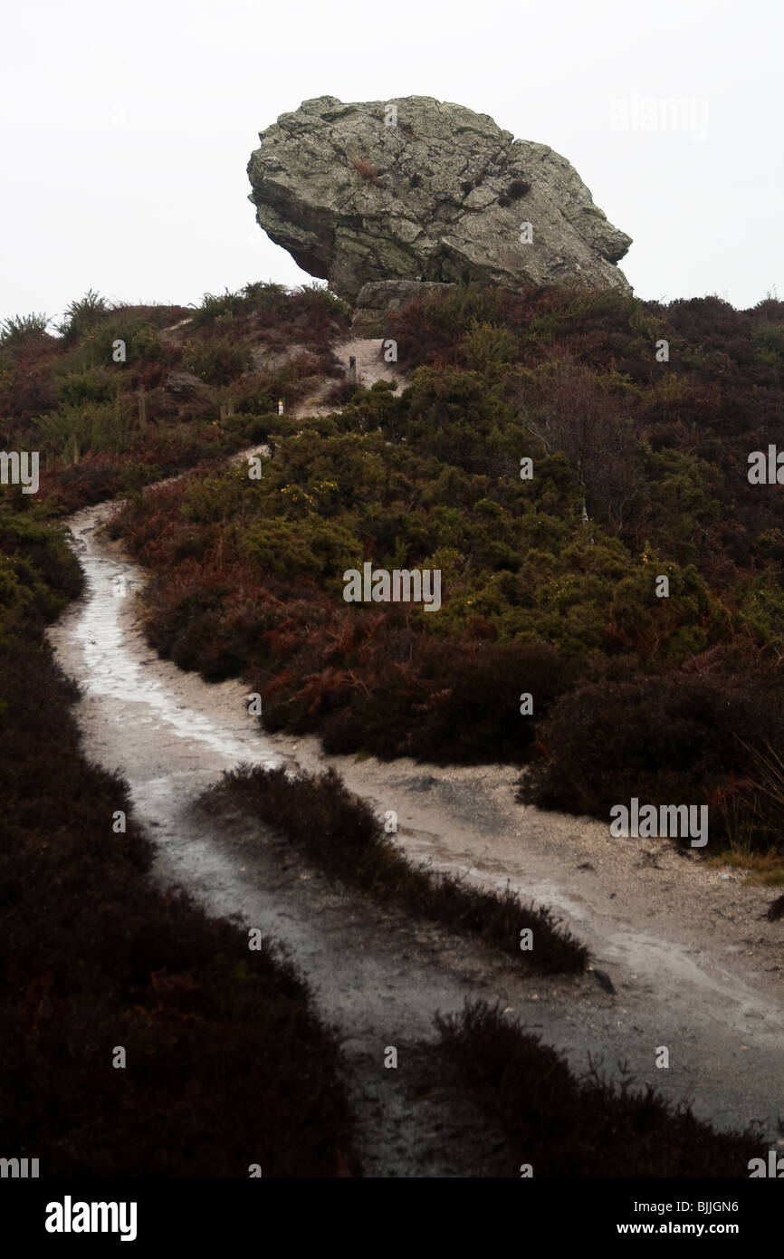 The Agglestone Rock, Isle of Purbeck, Dorset, UK Stock Photo