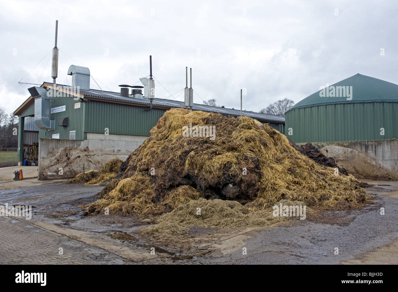 Farm producing biogas from animal waste Stock Photo