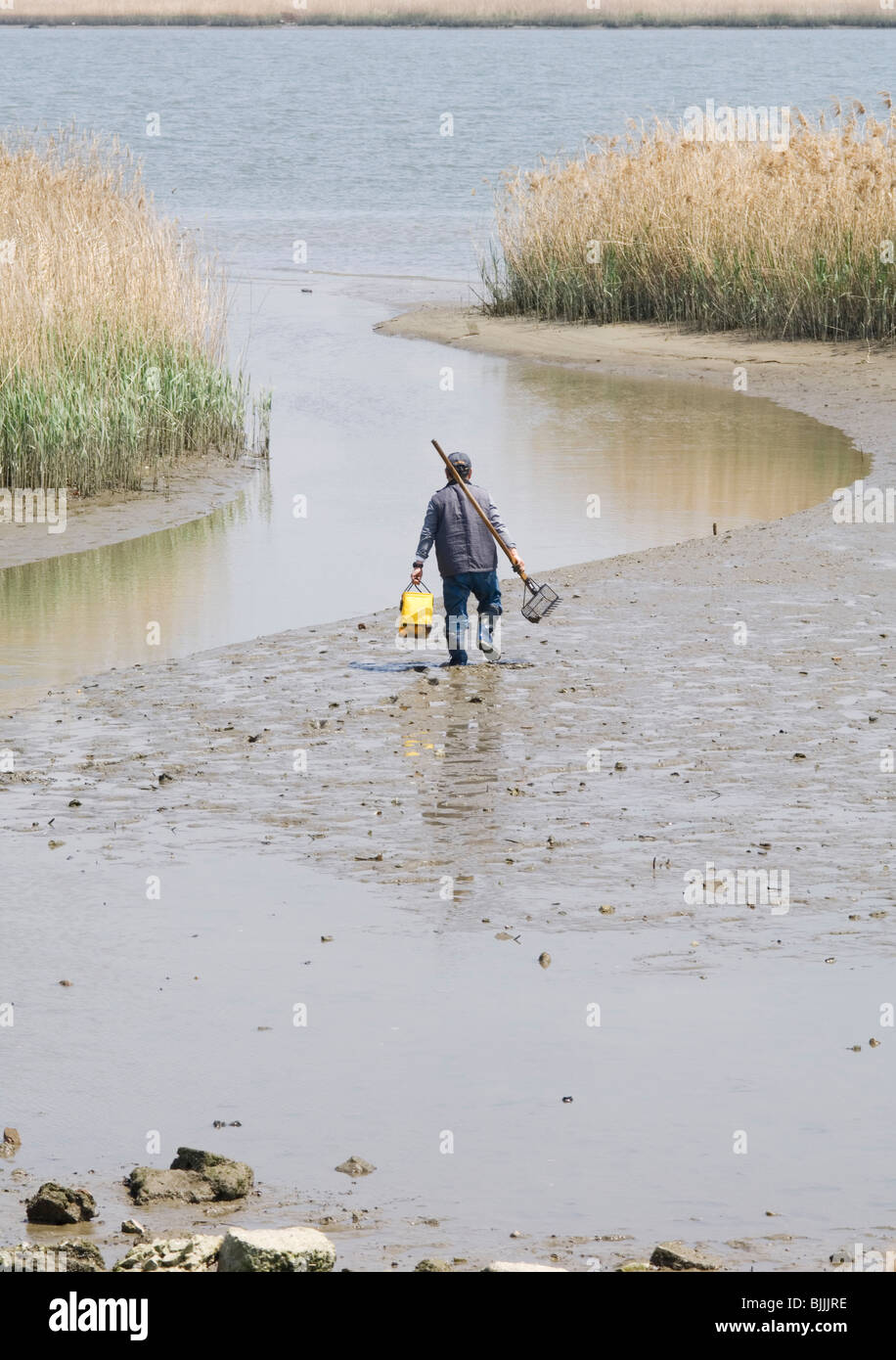 Man fishing for clams Stock Photo Alamy