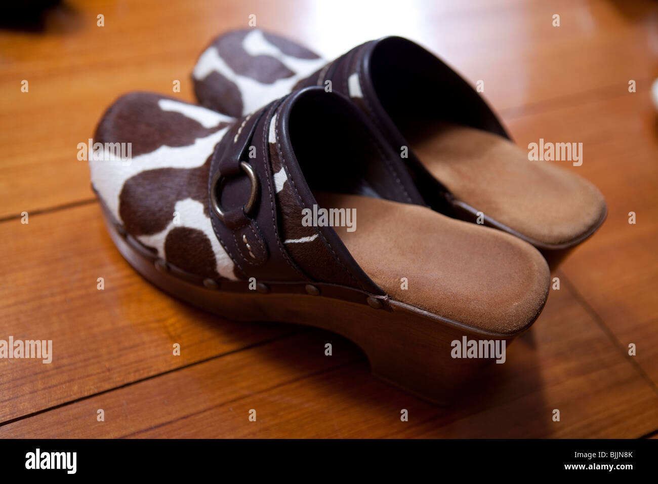 fancy clogs