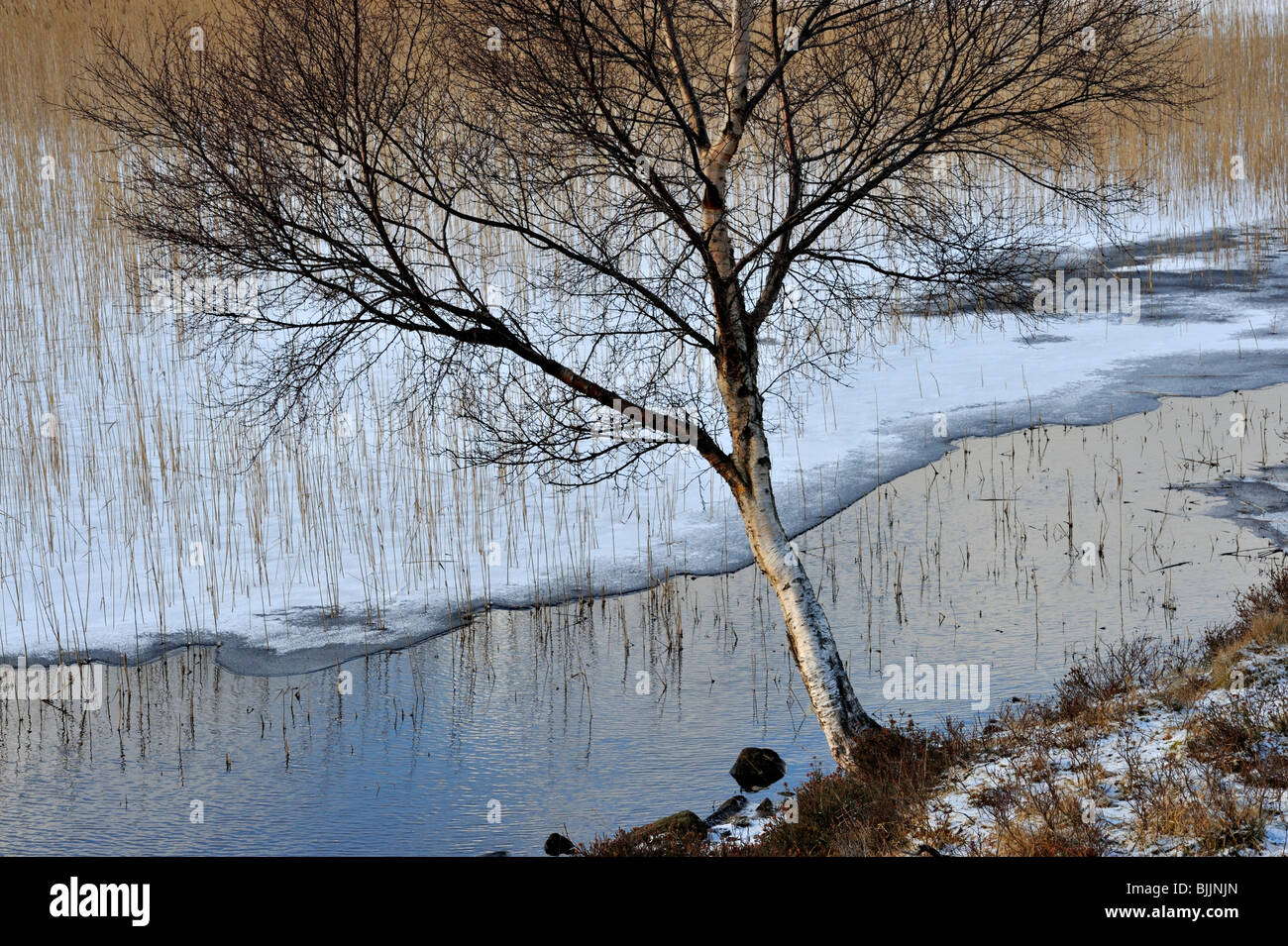 Ice outline hi-res stock photography and images - Alamy