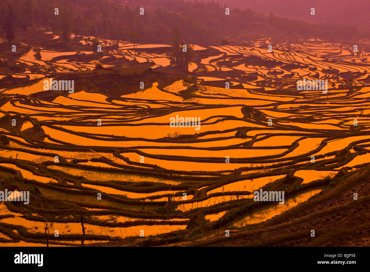 Yuan Yang rice terraces, Peoples Republic of China, Yunnan Province, Near Vietnamese border, UNESCO World Heritage Site Stock Photo