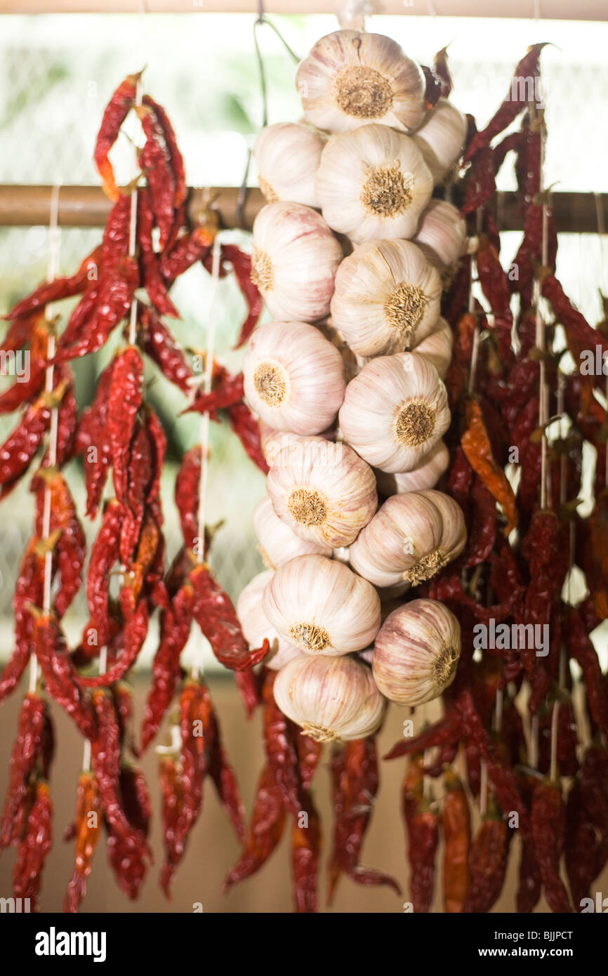 Garlic and chillies hang in the municipal market (Mercado des Lavradores) in Madeira, Portugal. Stock Photo