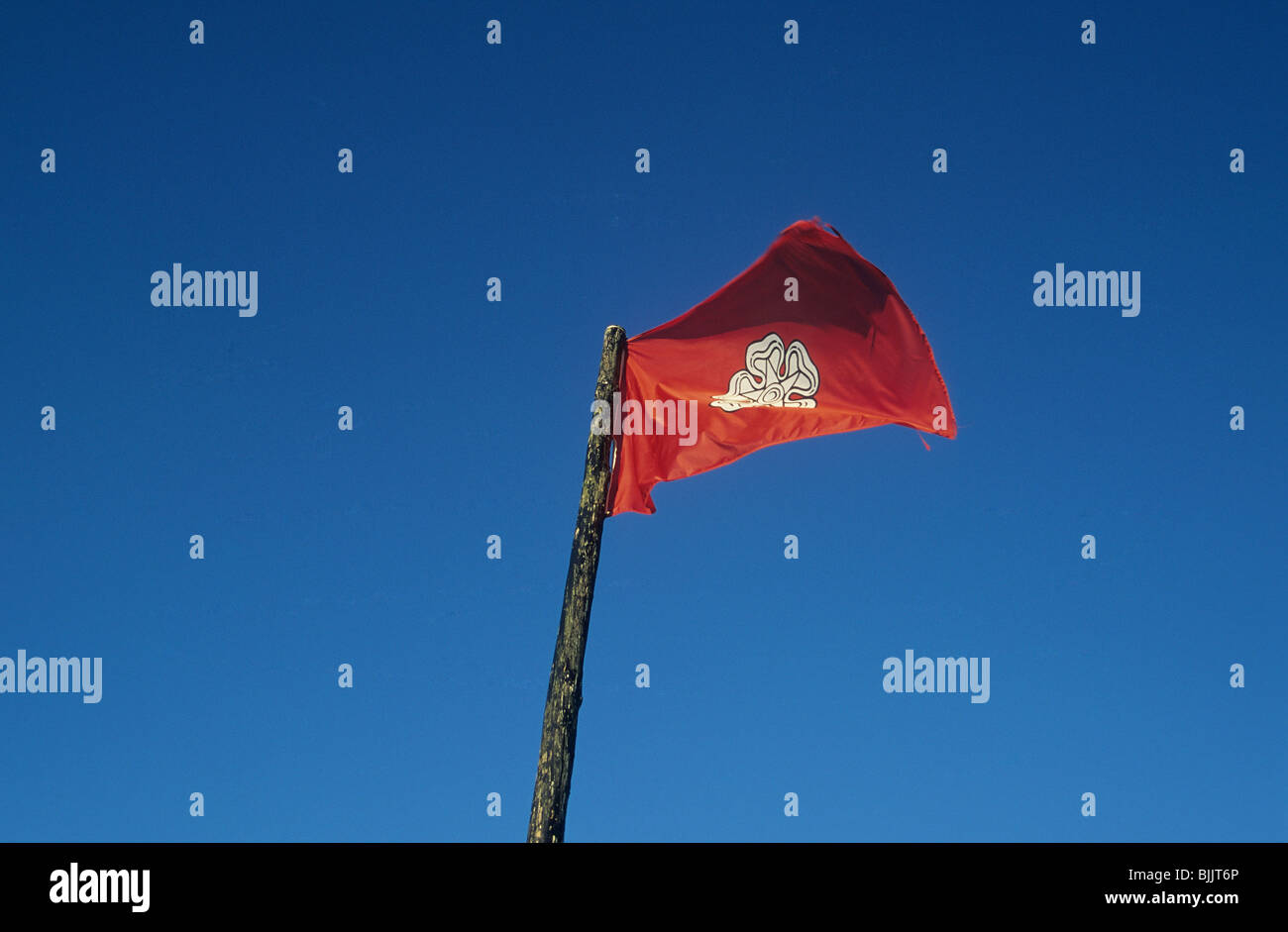 jacobite Flag flying on Culloden Battlefield, Inverness Stock Photo