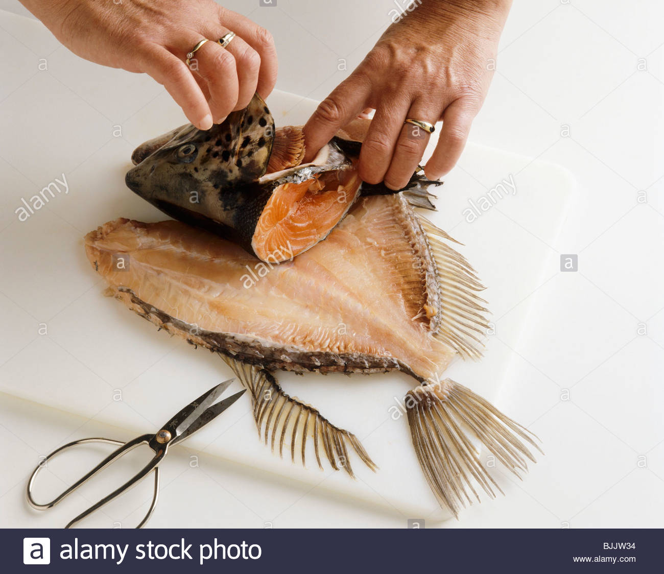 Fish Bones Stock Photos & Fish Bones Stock Images Alamy