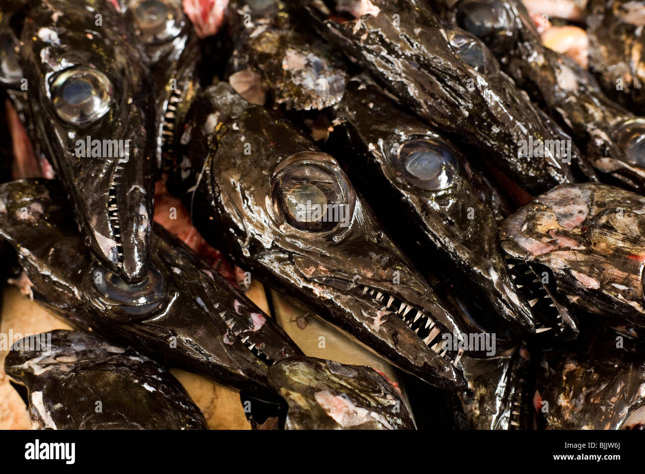 Heads of the sharp toothed deep sea fish, Espada, at the municipal market (Mercado des Lavradores) in Madeira, Portugal. Stock Photo