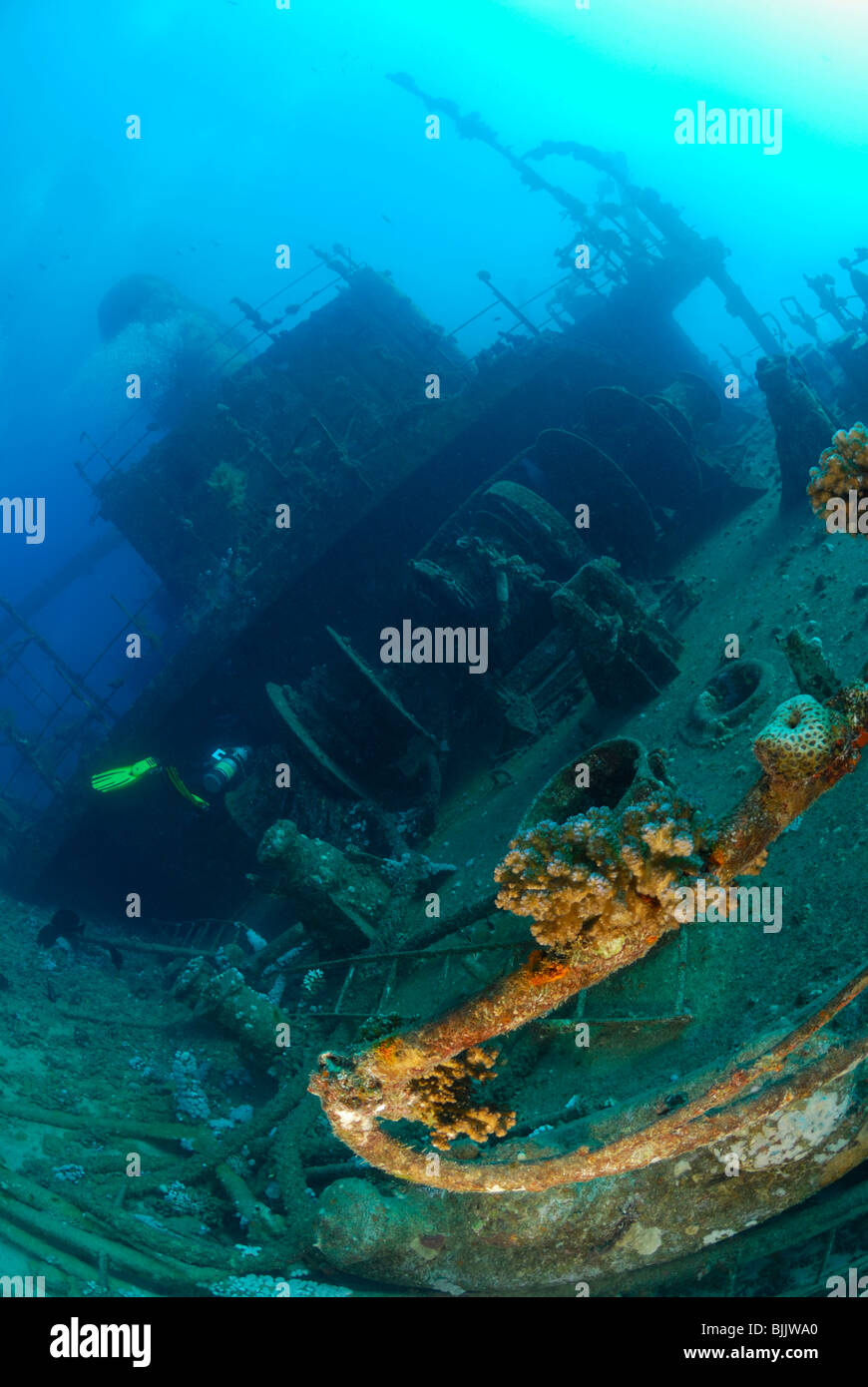 Giannis d wreck red sea hi-res stock photography and images - Alamy