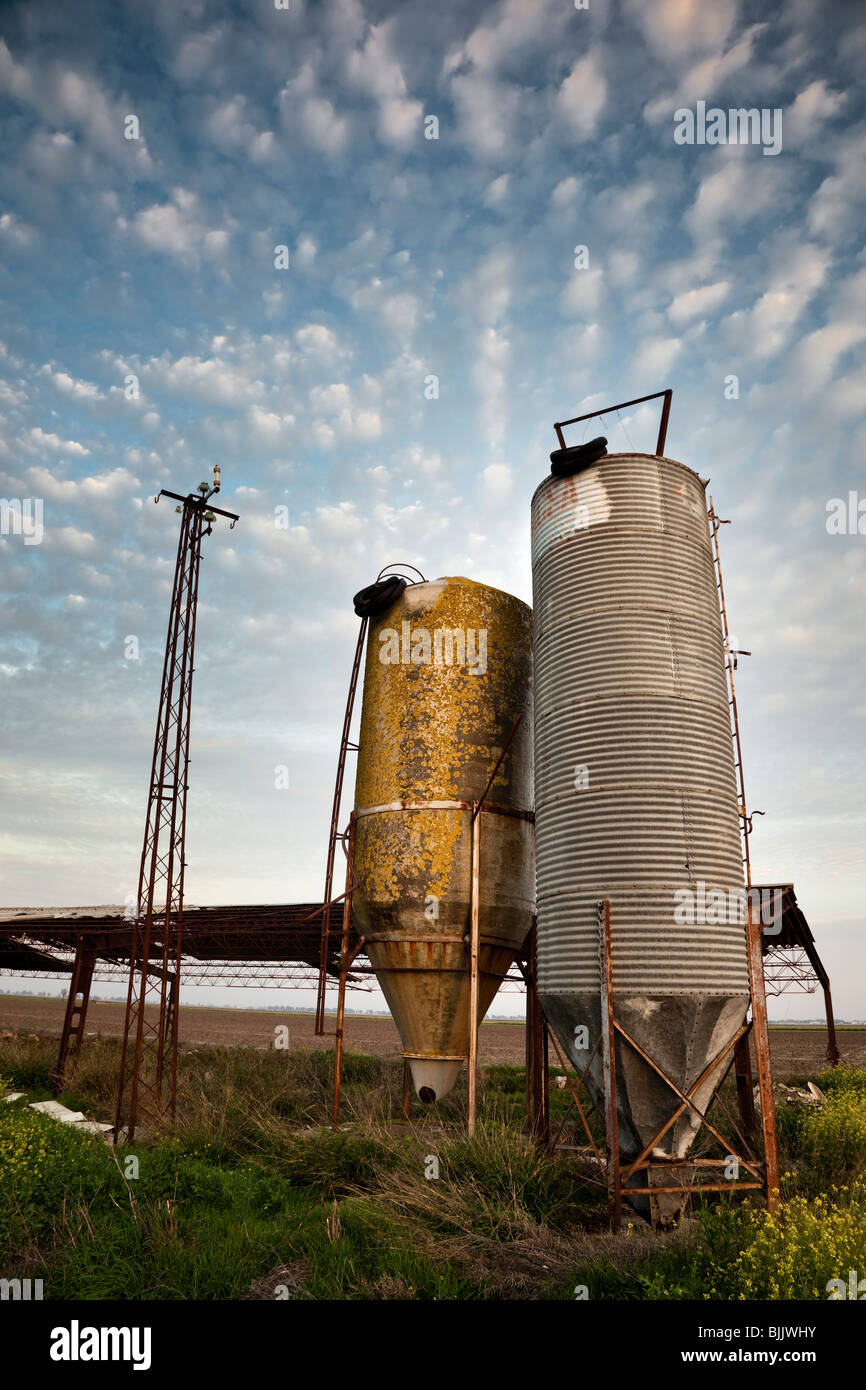 Abandoned feed store in chicken farm Stock Photo Alamy