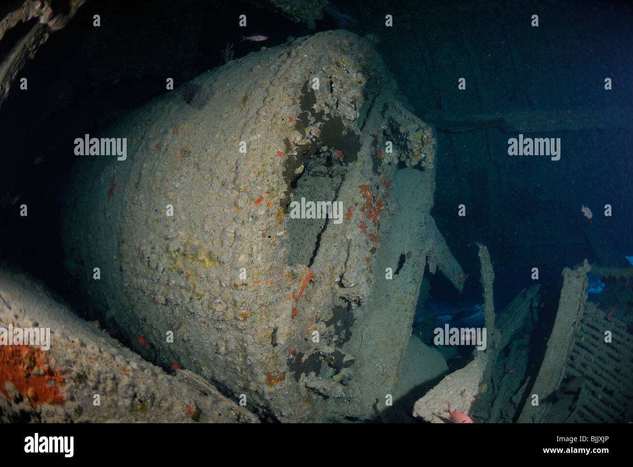 Wreck of Dunraven in the Red Sea, off coast of Egypt Stock Photo - Alamy