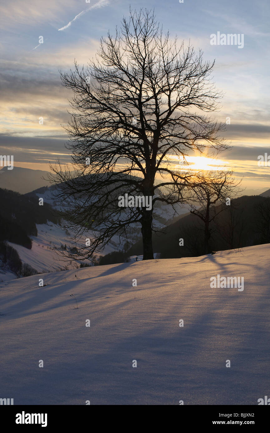Winter landscape in Baselbiet, Switzerland, Europe Stock Photo