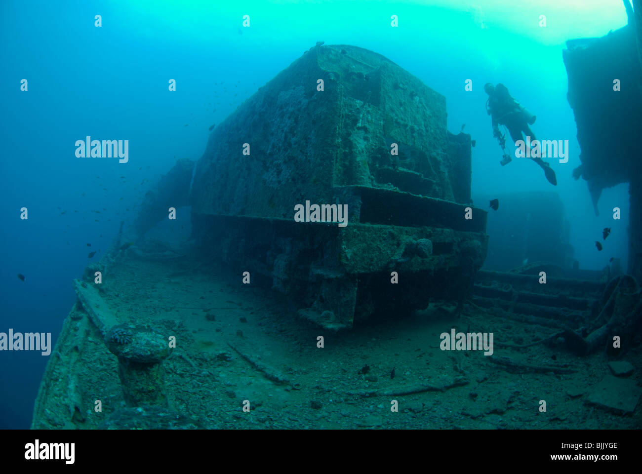 Wreck of the Thistelgorm in the Red Sea, off Egypt. Stock Photo