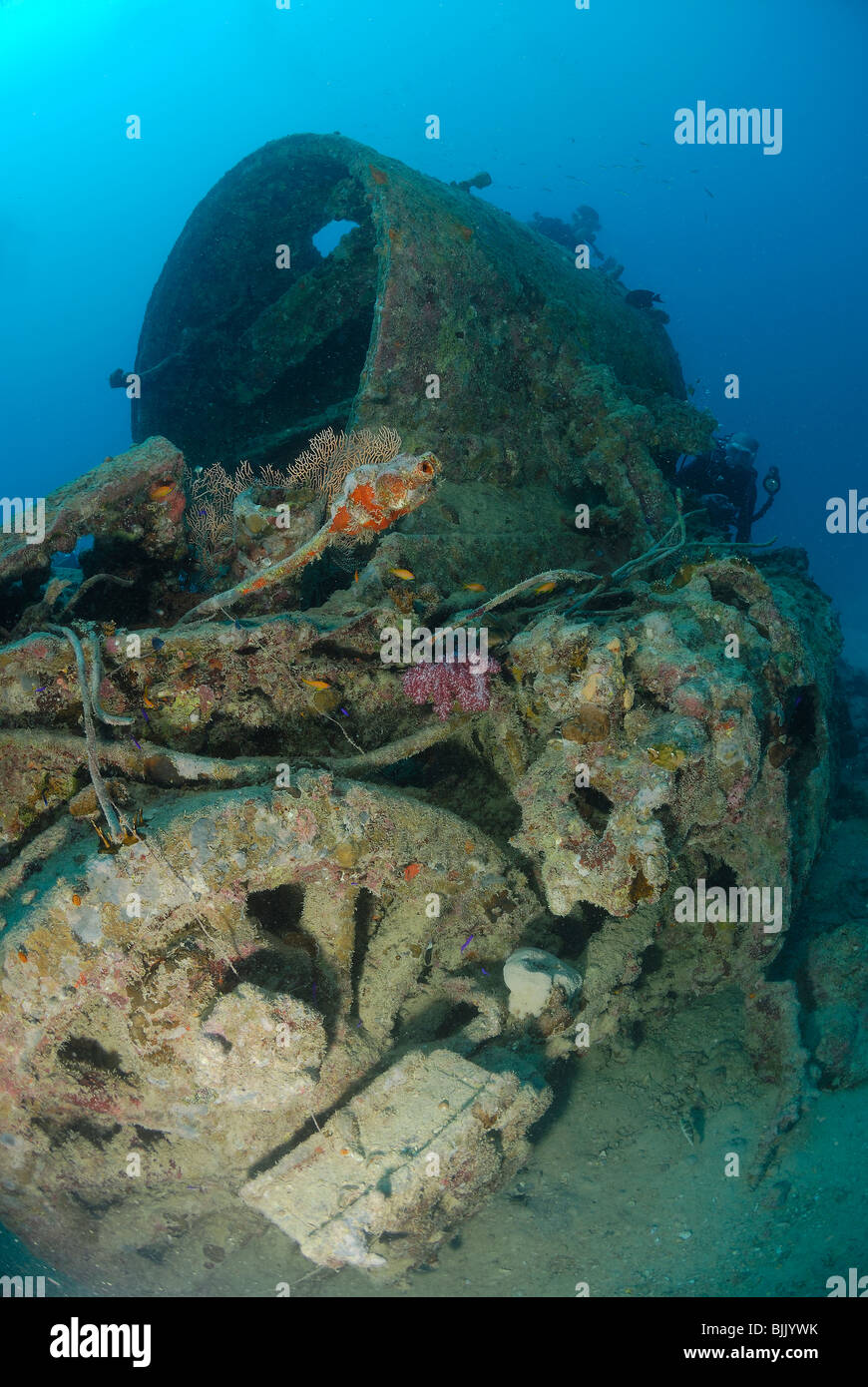 Wreck of the Thistlegorm in the Red Sea, off Egypt Stock Photo - Alamy