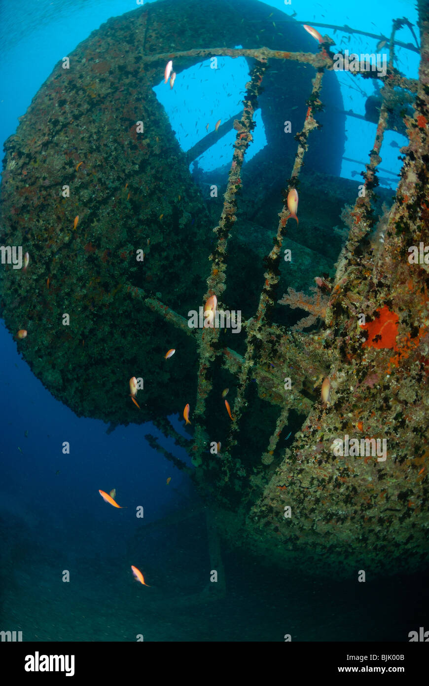 Wreck of the Thistlegorm in the Red Sea, off Egypt Stock Photo - Alamy