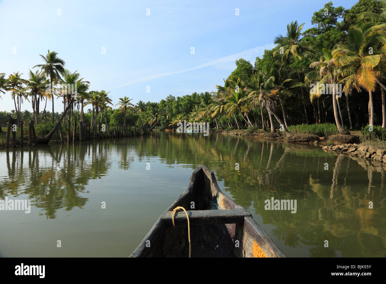 Backwater tour on a tributary of the Poovar River, Puvar, Kerala, South India, India, Asia Stock Photo