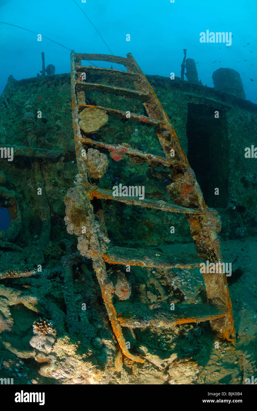 Wreck of the Thistelgorm in the Red Sea, off Egypt. Stock Photo