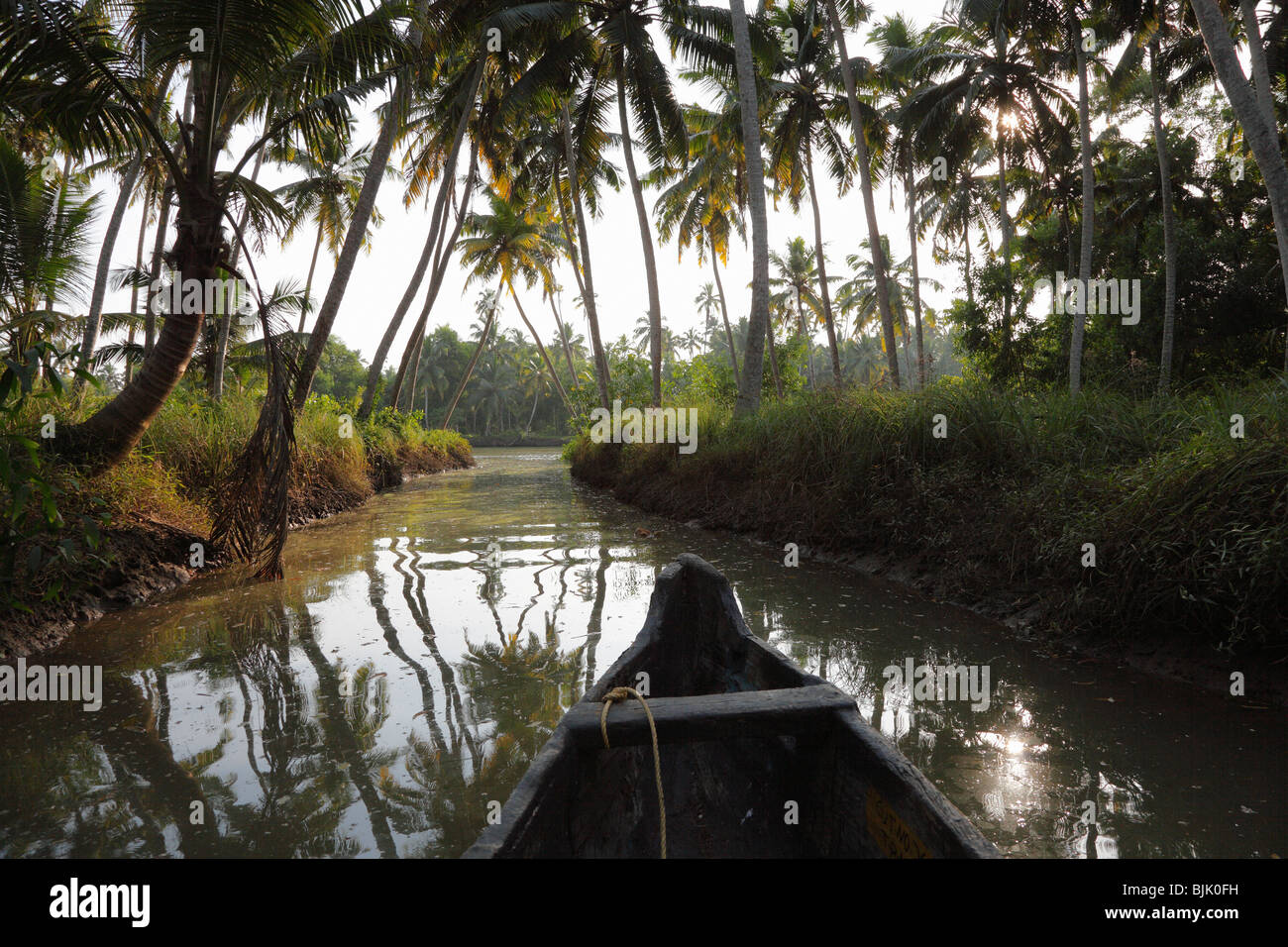Backwater tour on a tributary of the Poovar River, Puvar, Kerala, South India, India, Asia Stock Photo