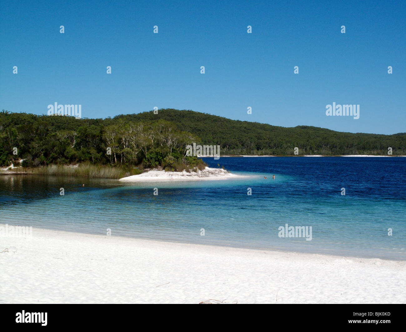 Lake McKenzie on Fraser Island in Australia Stock Photo