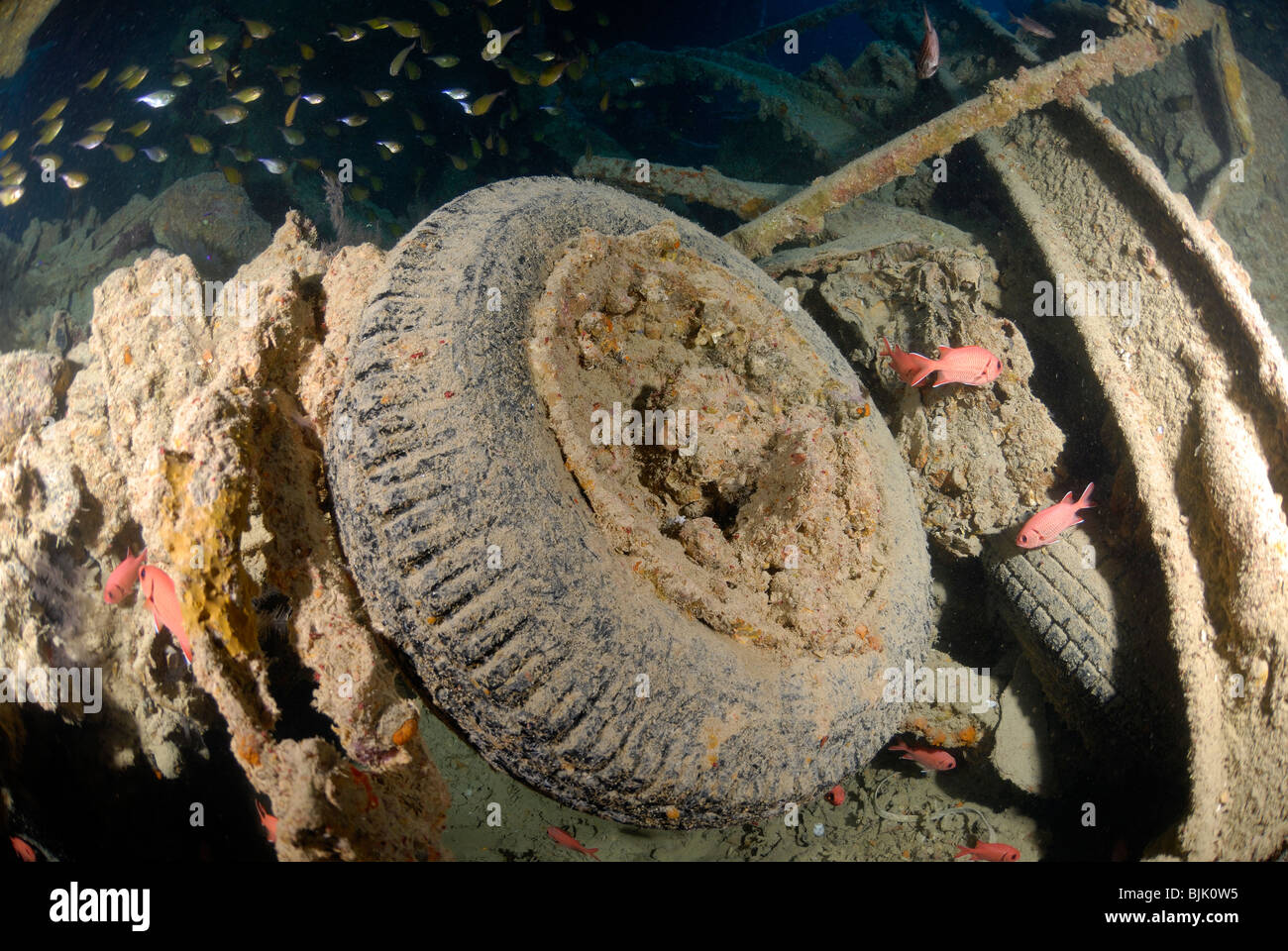 Wreck of the Thistelgorm in the Red Sea, off Egypt. Stock Photo