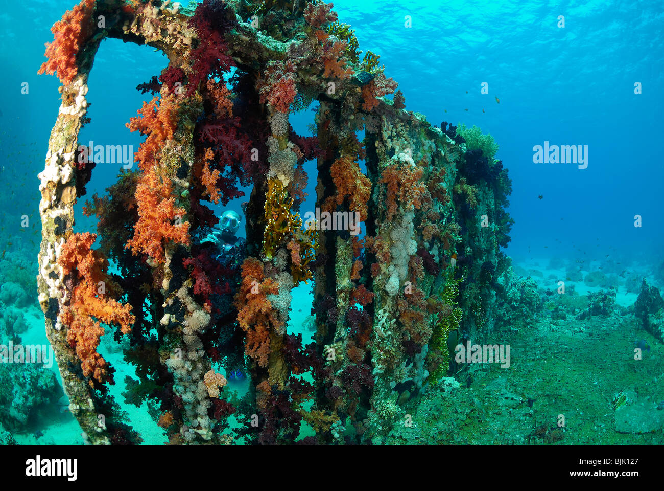 Wreck at Yolanda reef  in the Red Sea, off coast of Egypt. Stock Photo