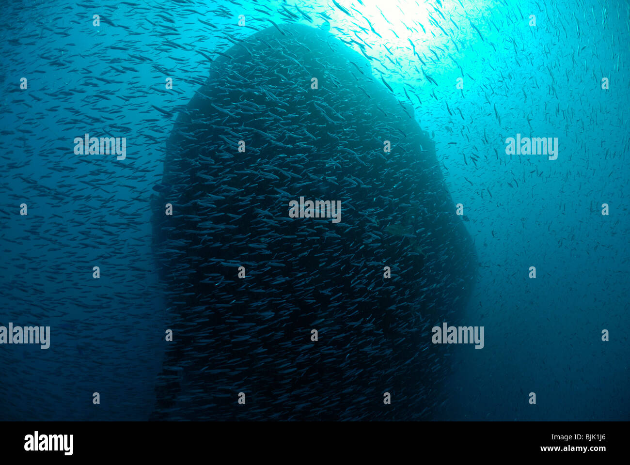 Wreck of the Thistlegorm in the Red Sea, off Egypt. Stock Photo