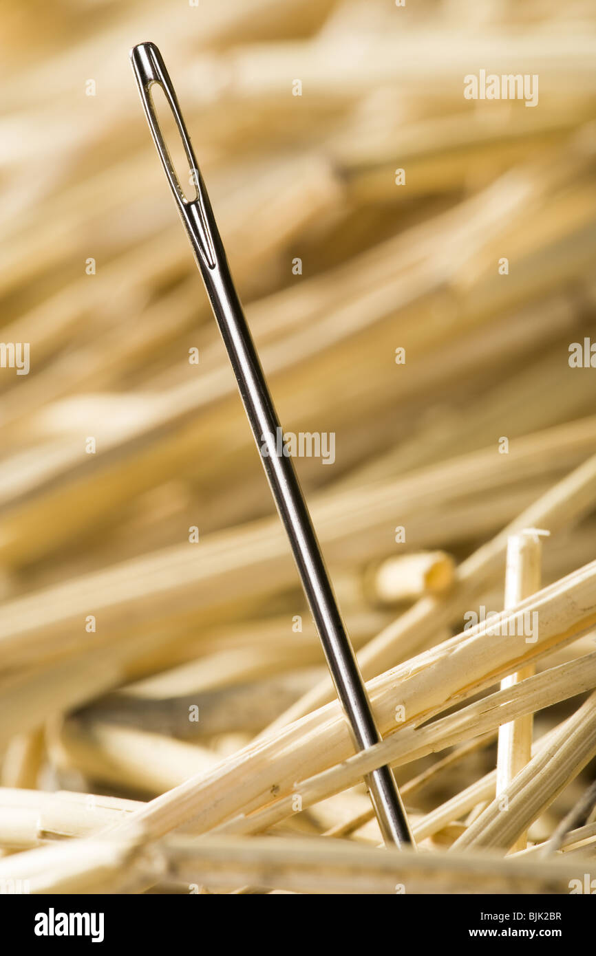 Detailed view of needle in a haystack Stock Photo Alamy