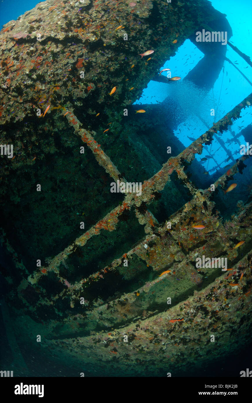 Wreck of the Thistlegorm in the Red Sea, off Egypt Stock Photo - Alamy