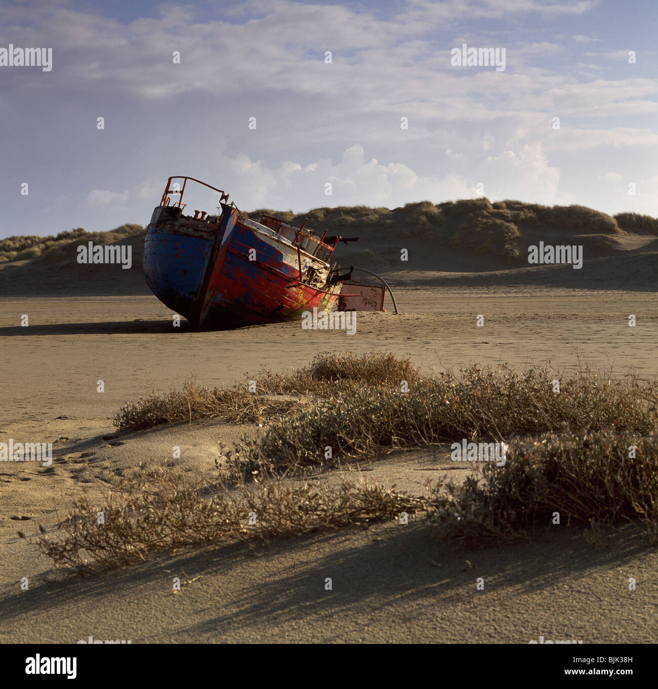 Devon shipwreck hi-res stock photography and images - Alamy