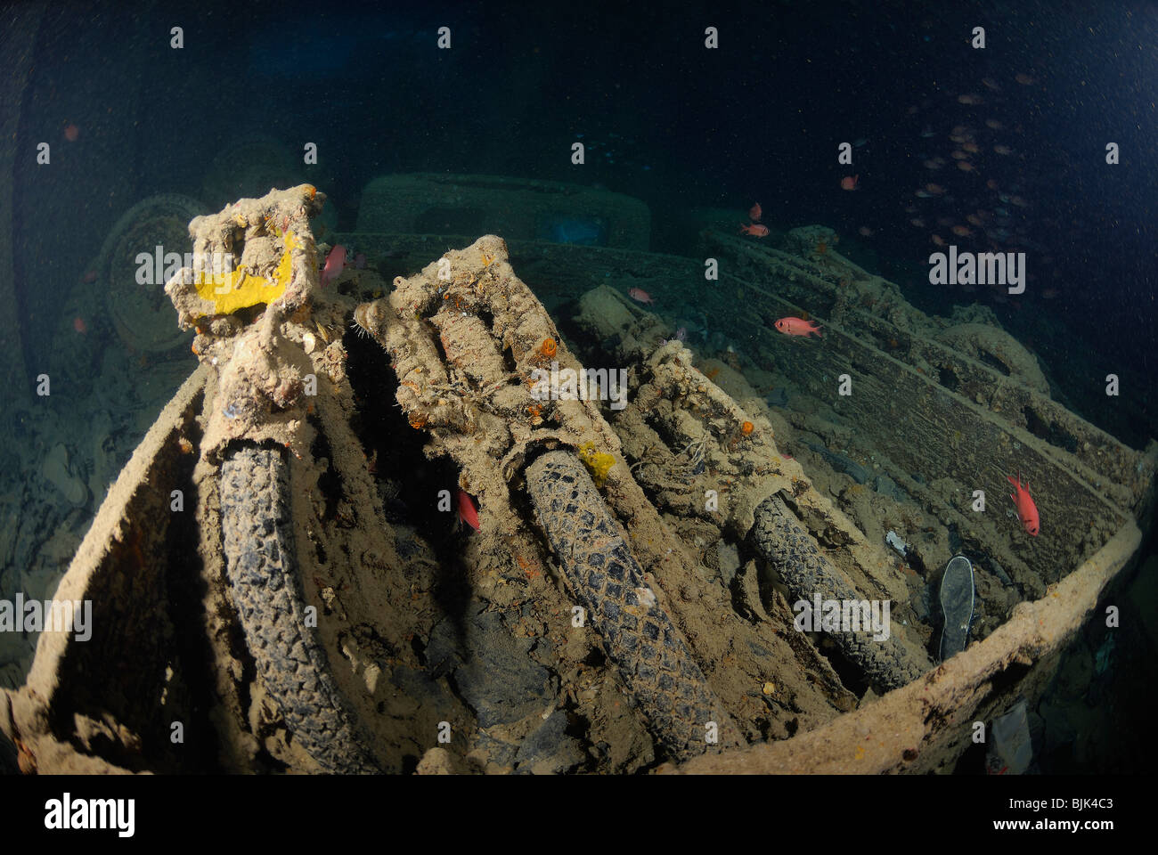 Wreck of the Thistlegorm in the Red Sea, off Egypt Stock Photo - Alamy