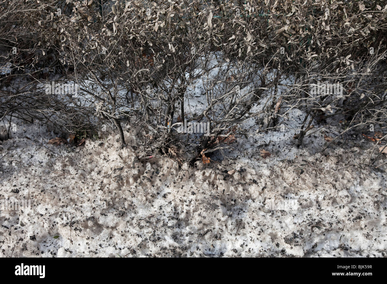 Old dirty snow in the streets of a city, German saying, Schnee von gestern, meaning yesterday's news Stock Photo