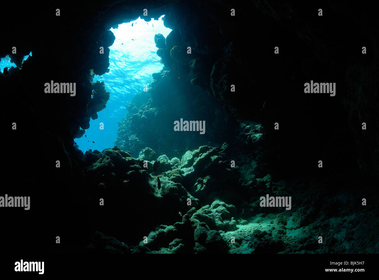 Small underwater cave in the Red Sea, off Hurghada, Egypt Stock Photo ...